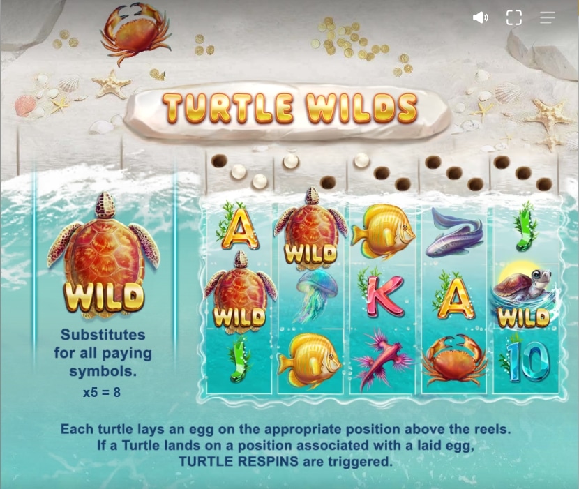 ฟีเจอร์เกม Turtle Paradise