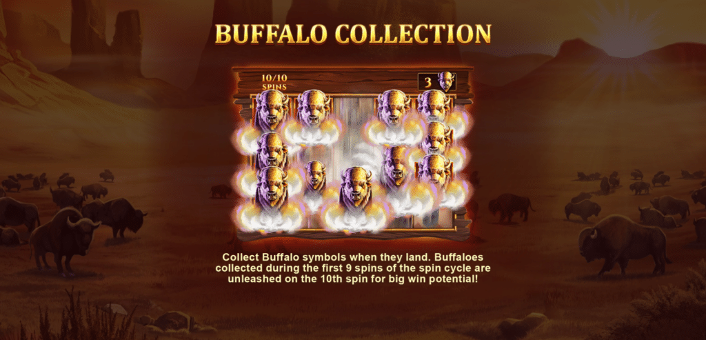 รูปแบบการชนะในเกม Buffalo Collector